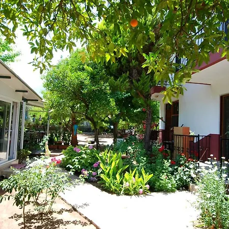 Cemils Guest house