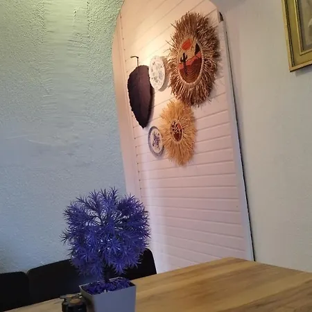 Cemils Cirali
