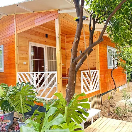 Guest house Cemils *