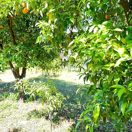 Cemils Гостевой дом