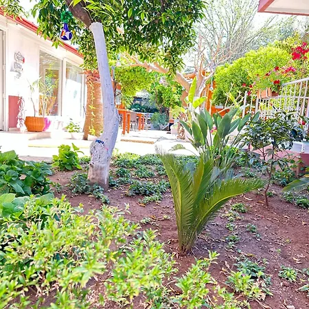 Cemils 4* Чирали