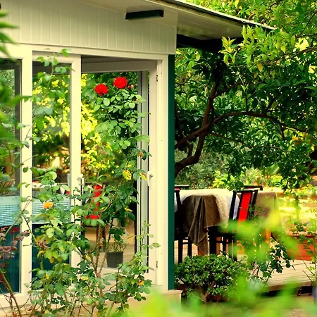 Cemils Гостевой дом 4*